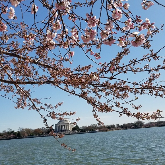 Meet your Posher, Tangela - Picture 2 of 2